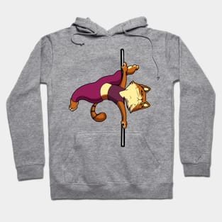 Cat on pole dance pole - Pole Fitness Hoodie